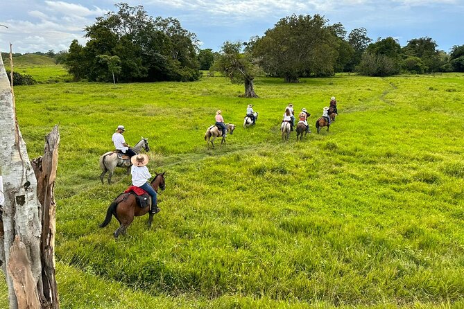 1 Day Horseback Riding at a Real Ranch from Medellin - Morning pickup in Medellín, before the city heats up
