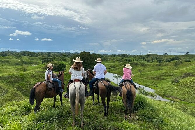 1 Day Horseback Riding at a Real Ranch from Medellin - Riding on Criollo horses through fields, streams, and rainforest edges