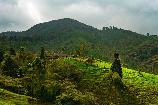 100-Year-Old family-run Finca: Horseback Riding & More - Key Highlights You’ll Actually Care About
