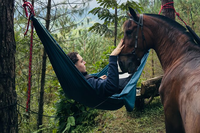 100-Year-Old family-run Finca: Horseback Riding & More - A 7-Hour Finca Morning That Feels Like a Family Visit