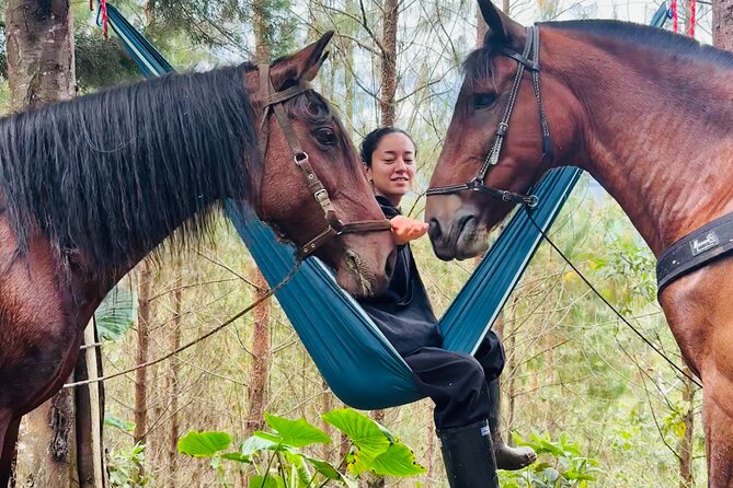 100-Year-Old family-run Finca: Horseback Riding & More - Hammocks, Fruit Picnic, and Small Farm Snacks on the Way Back