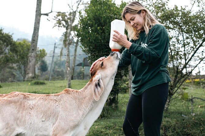 100-Year-Old family-run Finca: Horseback Riding & More - Who This Tour Fits Best (And Who Should Rethink the Horse)