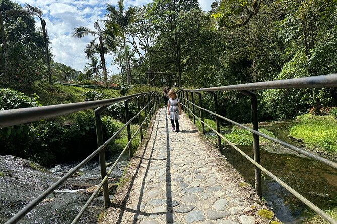 2 Days Experience: Cocora, Salento, Filandia, Coffee & Hotsprings - Santa Rosa de Cabal Coffee Farm: From Seed to Cup