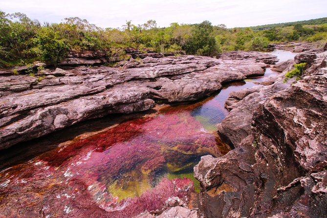 3-Day Trip to Caño Cristales from Bogota - Nature Rules You Must Follow: Sunscreen-Free River Sections