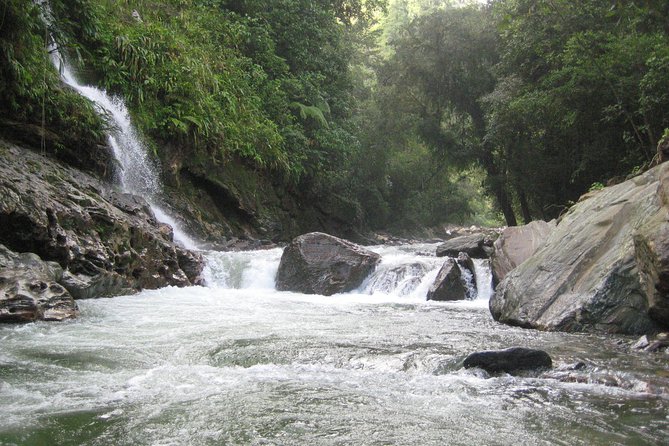 4-Day Lost City Small-Group Tour in Santa Marta - Day 1: El Mamey, a 6 km trek, natural pools, and first-night cabins