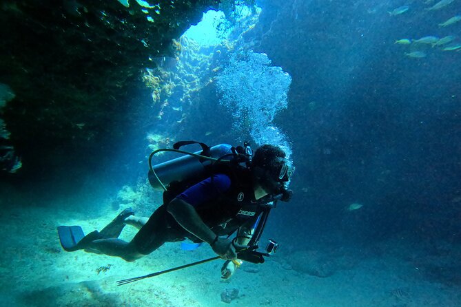 4 Hour Private Activity, Two Tank Diving in San Andres - 8:30 AM setup, transport, and what the morning feels like
