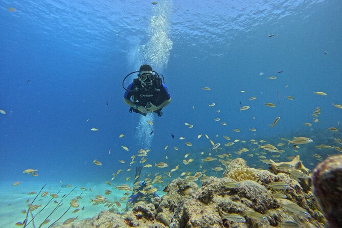 4 Hour Private Activity, Two Tank Diving in San Andres - Depth limits and certification based planning