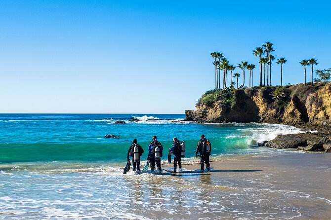 4 Hour Scuba Diving Course in Tayrona Park - Key Highlights Before You Go