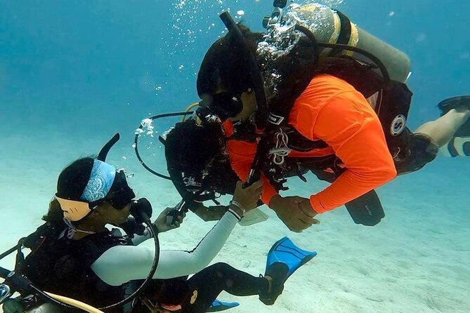 4 Hour Scuba Diving Course in Tayrona Park - Tayrona National Park Stop: Briefing, Theory, And First Equipment Checks
