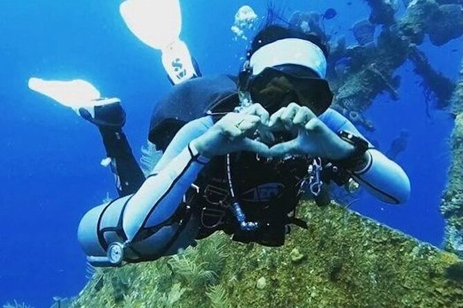 4 Hour Scuba Diving Course in Tayrona Park - Morning Setup In Santa Marta: Time, Location, And A Small Group