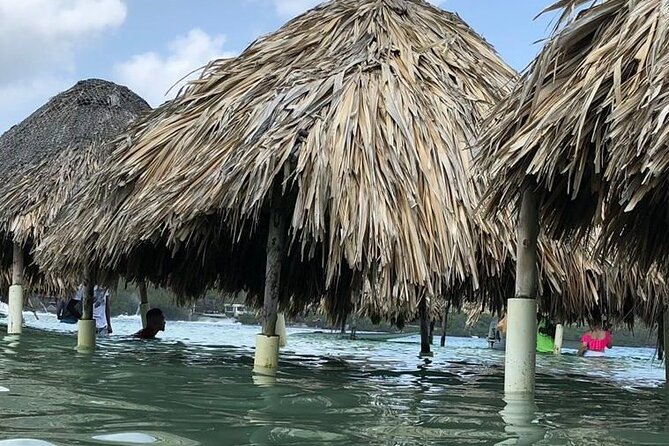 4 islands - Stop 4: Agua Azul Beach Resort and Fruit Tasting in Blue Water