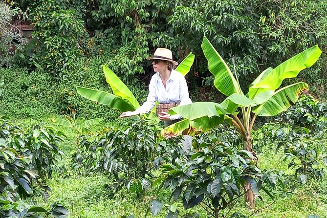 5-Hour Coffee and Pablo Express Mix Tour in Medellín - How the private, bilingual format changes the day