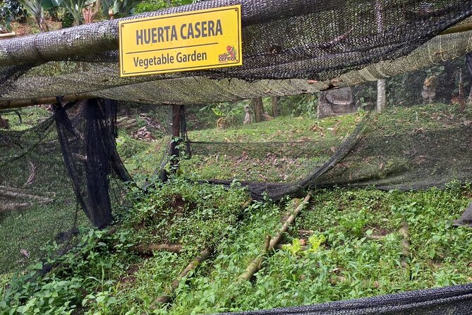 5-Hour Coffee and Pablo Express Mix Tour in Medellín - Timing, transport, and what to expect during the ride