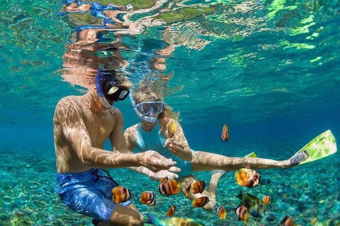 5-Island Speedboat Tour in Cartagena and the Rosario Islands - Key things to know before you go