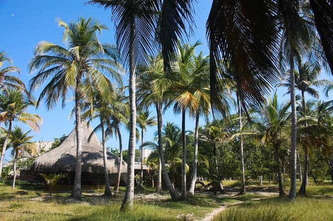 5-Island Speedboat Tour in Cartagena and the Rosario Islands - Isla Grande snorkeling: the best bang for your time