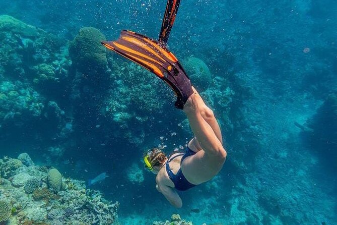 5 islands tour to rosario Islands with snorkeling activity! - Stop by Stop: From Islas de Rosario to Isla Grande and Playa Blanca de Barú