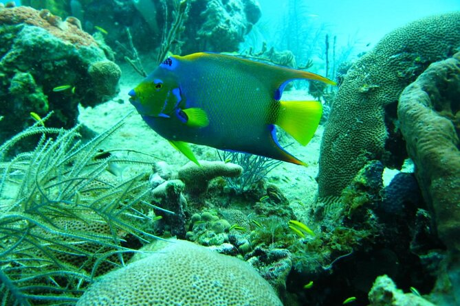 5 islands tour with Lunch Snorkeling and Plankton - Snorkeling at San Martin de Pajarales Natural Swimming Pool