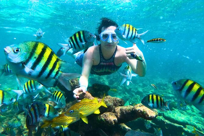 5 Stop Boat Tour Rosario Islands with Lunch, Forts, & Snorkeling - Key things to know before you go