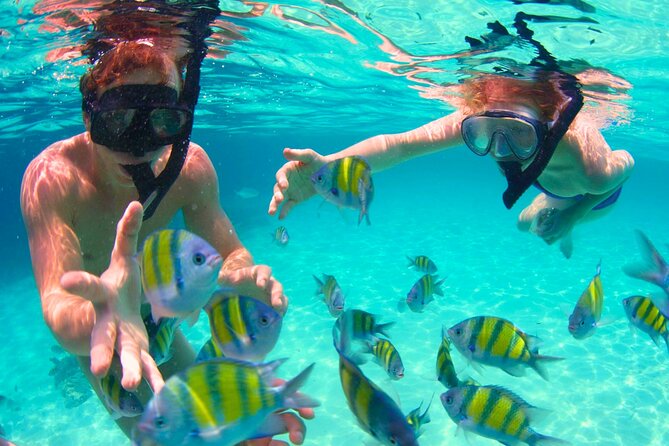 5 Stop Boat Tour Rosario Islands with Lunch, Forts, & Snorkeling - Snorkeling at the fish habitat, what you get and what to expect