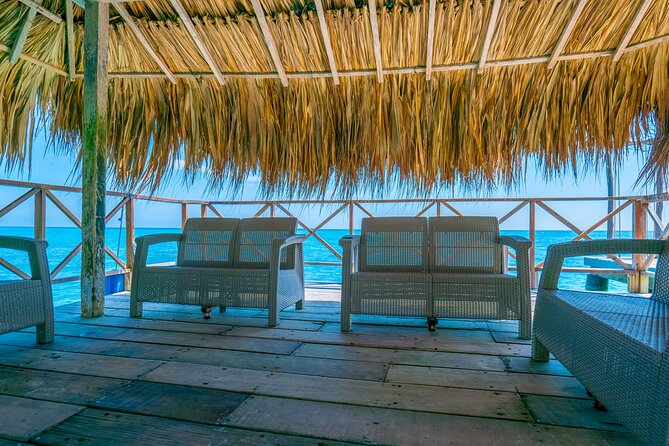 A Day to Private Island Luxury Beach Club with Food - Beach Club Atmosphere: Relaxed Service, Vendors, and the Animal Factor