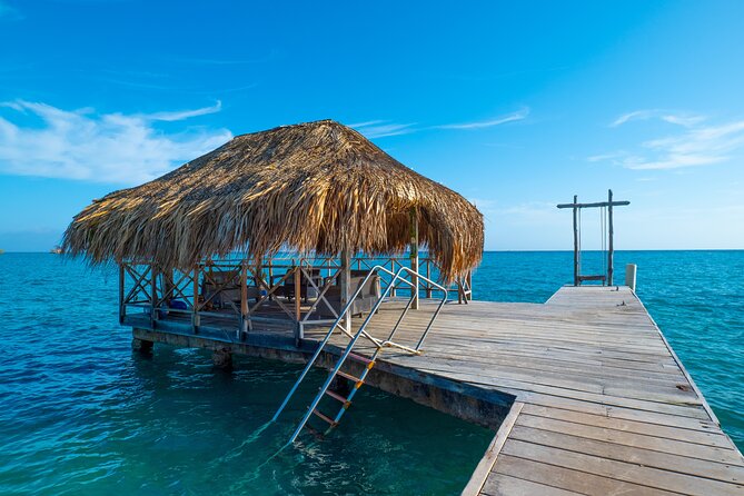A Day to Private Island Luxury Beach Club with Food - Who This Private Island Beach Club Day Trip Is Best For