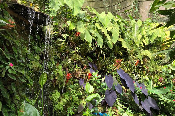 Admission to Andoke Butterfly Center in Cali with Release Ritual - Why Mariposario Andoke feels like a quiet nature lesson