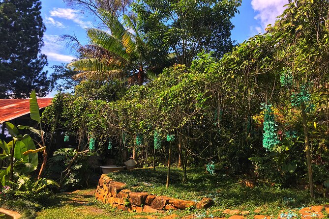Admission to Andoke Butterfly Center in Cali with Release Ritual - Stone Colombia map, ant farm, and butterfly lab stops