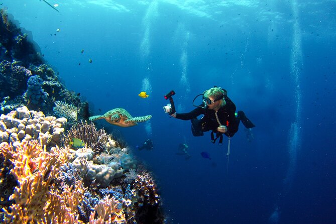 Adventure Diving in San Andres for beginners 4 hours - Key Highlights You Should Know Before You Go