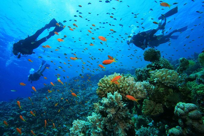 Adventure Diving in San Andres for beginners 4 hours - Arriving in San Andrés: Pickup, Timing, and the Start of Your Day
