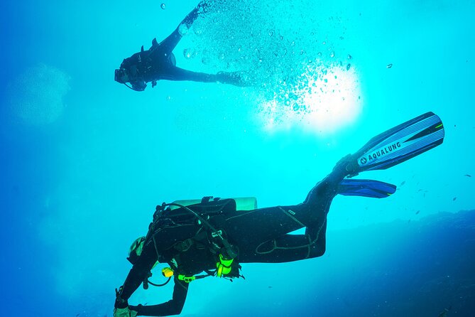 Adventure Diving in San Andres for beginners 4 hours - Gear, Comfort, and the Not-So-Fancy Details That Matter
