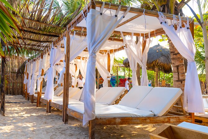 Adventure full day Isla Barú + Mangroves + Snorkel + bioluminescent plankton - What is included in this $65 day: the value check that actually matters
