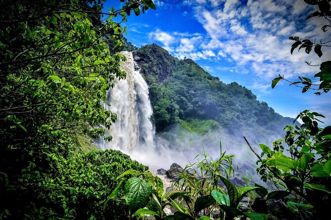 Aerial Hammocks, Zip and Waterfall Trek on Medellin Private Tour - Second zip line at 3:30 p.m. and the return to your hotel