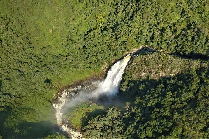 Aerial Hammocks, Zip and Waterfall Trek on Medellin Private Tour - Morning pickup to Los Saltos Ecoparque: what the first hours feel like