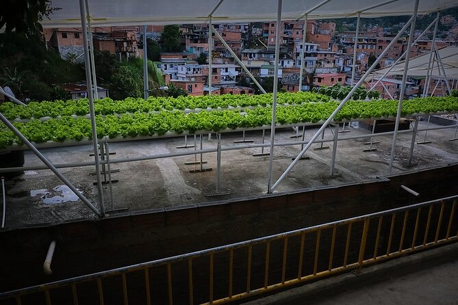 African Music Roots Private Tour in Comuna 13, Medellin - Price and value, and how this tour justifies $179 per person