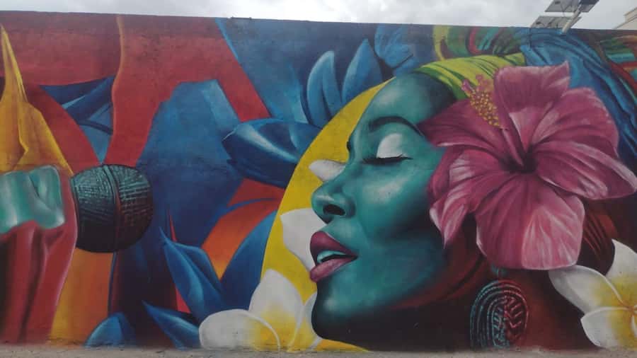 Afro Walking Tour. The colors of Cali. - Three Cultural Institutions: What They Add to the Walk
