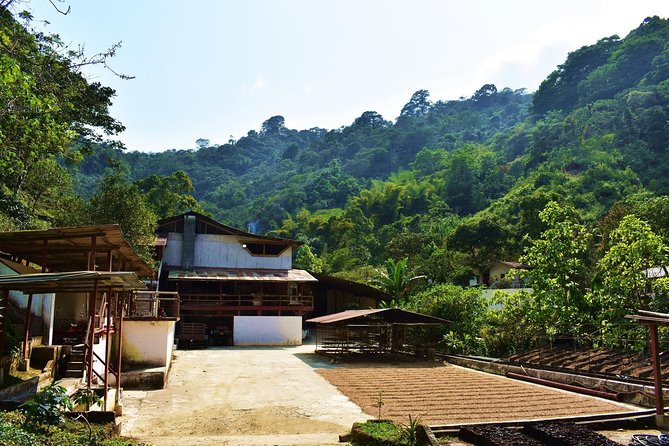Amazing full day tour to Minca with a private guide - Finca La Victoria coffee farm: gravity-powered work from 1892