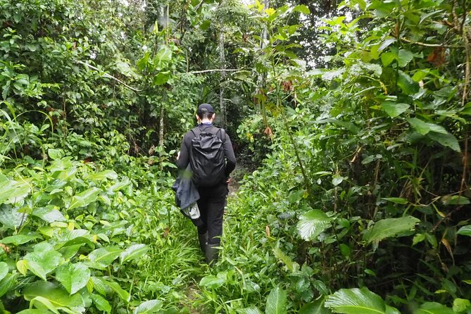 Amazon Conscious Adventure: 5-Day Trek, Kayak & Wildlife - Price and Value: What $1,233.77 Really Includes in Leticia