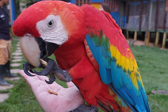 Amazon Unveiled: Private Ancestral Immersion & Conscious Luxury - A 5-day Amazon circuit from Leticia to Puerto Nariño and Peru