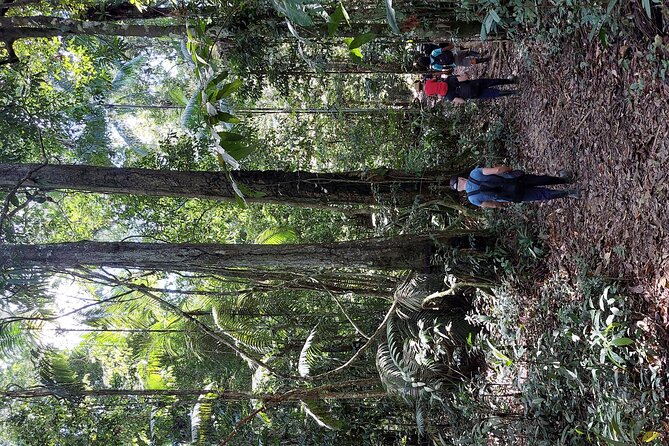 Amazon Unveiled: Private Ancestral Immersion & Conscious Luxury - The guides, what people got right about this tour