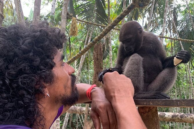 Amazon Unveiled: Private Ancestral Immersion & Conscious Luxury - Day 1 from Leticia to Puerto Nariño: a car-free port and a cabin night