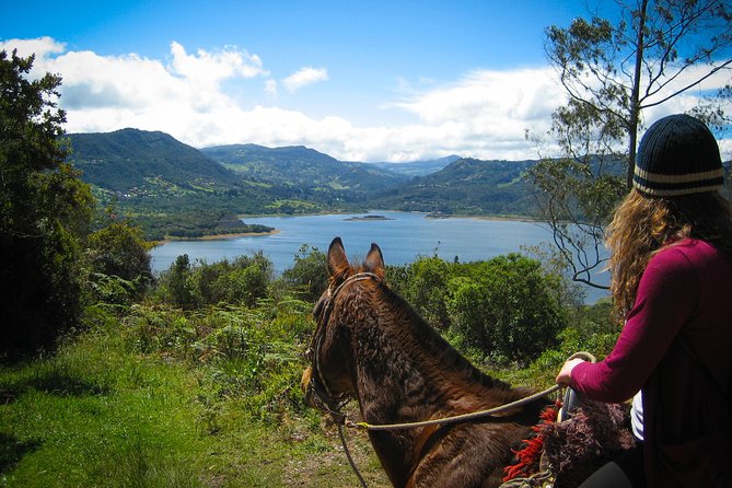 Andes Mountains Horseback Riding - Half Day - Key Highlights You Can Feel in Your Day