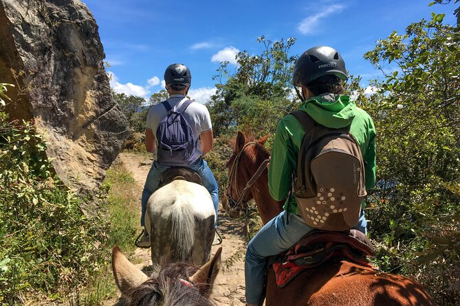 Andes Mountains Horseback Riding - Half Day - Price and Value: Is $90 Worth It?