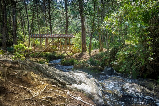 Arvi Park, Cable Car and Water Streams Private or Shared Tour - Key things you will care about