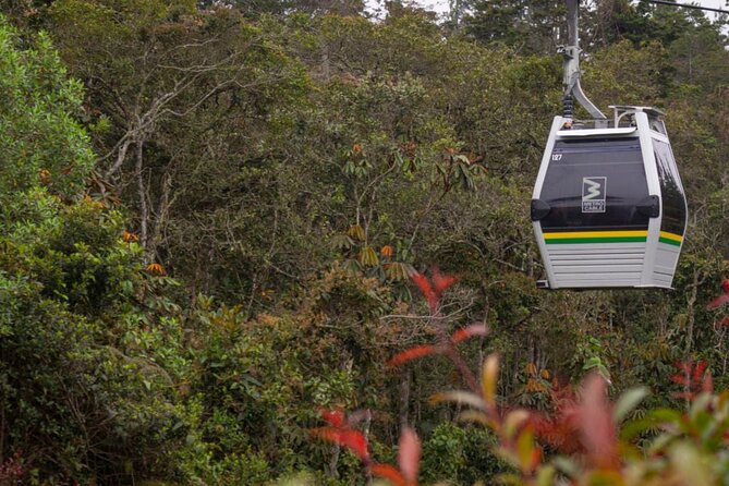 Arvi Park, Cable Car and Water Streams Private or Shared Tour - Medellin to the hills: why Arvi Park is a smart day escape