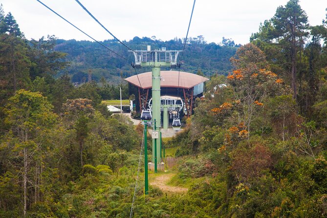 Arvi Park, Cable Car and Water Streams Private or Shared Tour - What to bring for comfort on forest paths and water streams