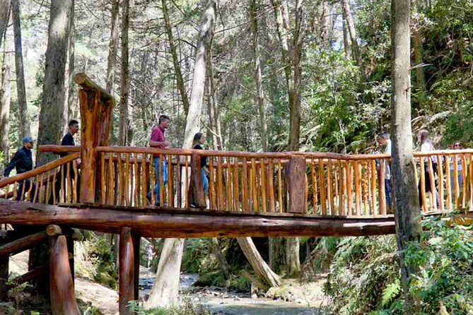 Arvi Park, Cable Car and Water Streams Private or Shared Tour - Stop 1: Metrocable up to Estación Metrocable Juan XXIII (Santo Domingo area)