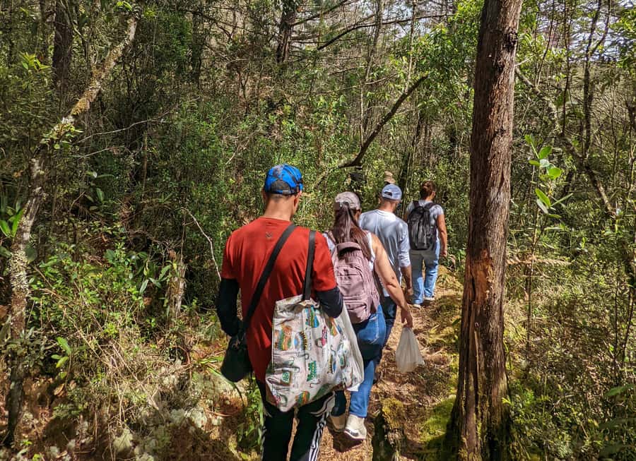 Arvi Park Walking tour and city views from Metrocable. - Who this Arví Park walk suits best (and who should skip)