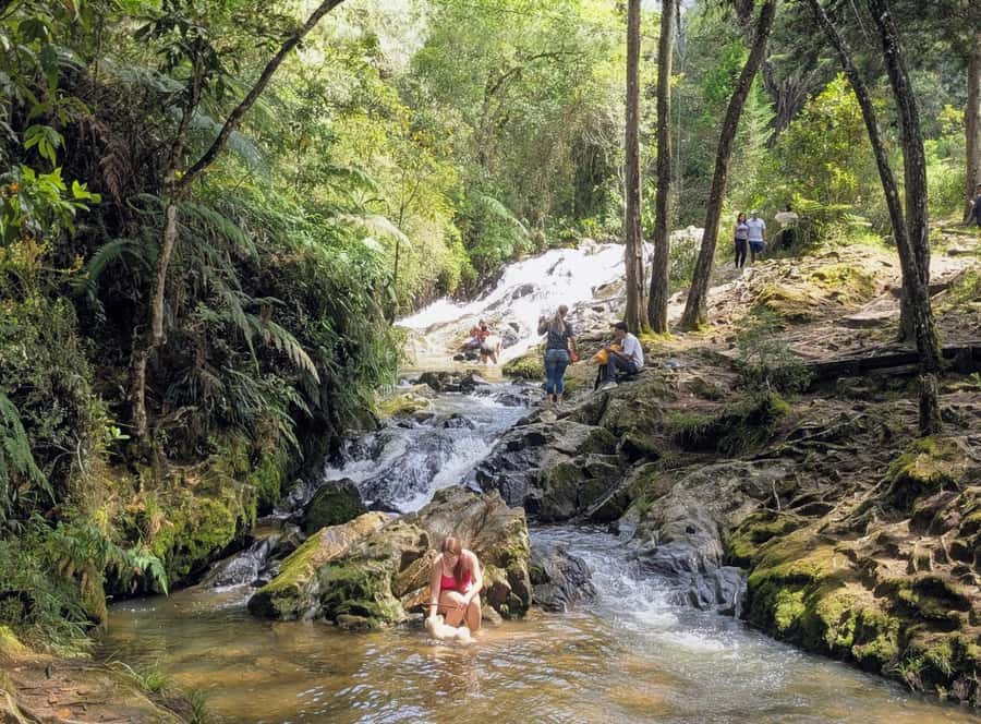 Arvi Park Walking tour and city views from Metrocable. - Arví Tropical Forest walking: what the guided portion feels like