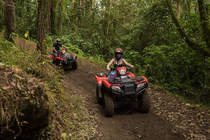 Atv or quats Tour adventure Quads tour in MEDELLÍN - Price and Value: Does $90 Make Sense for 1.5 Hours?