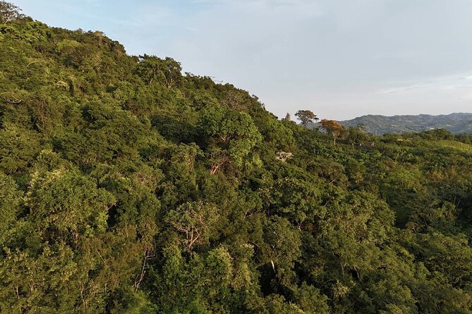 ATV Thrill Ride Near Cartagena Through Wildlife Trails and Nature - Planting a Native Tree to Close the Day With a Tangible Result